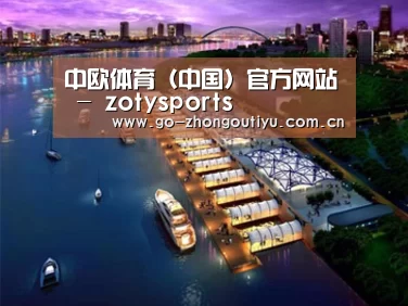 案例展示八