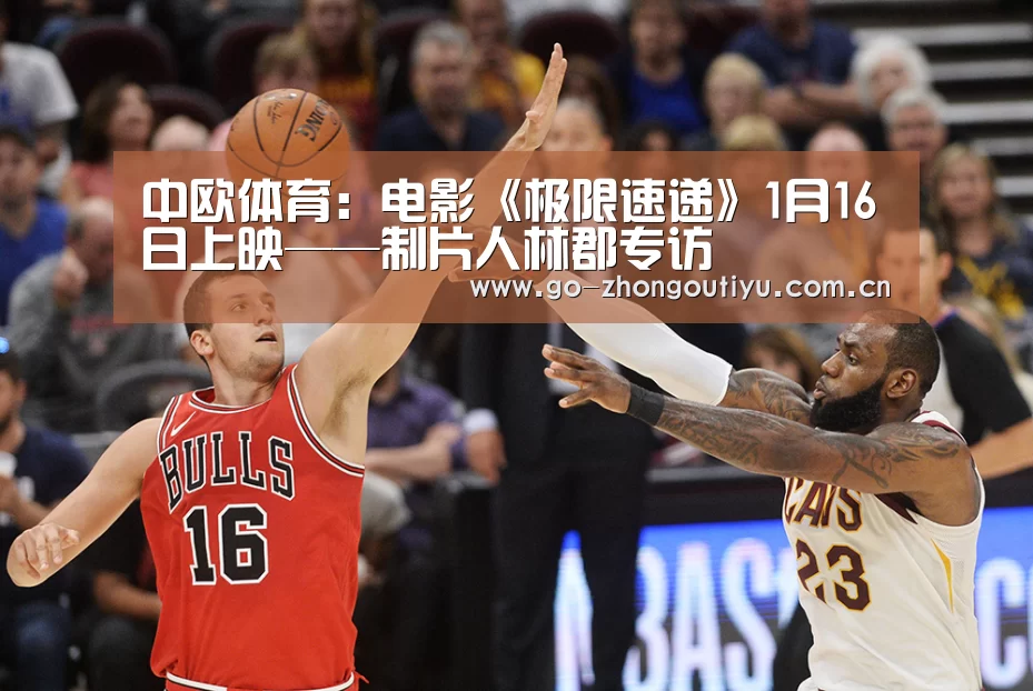 中欧体育官网