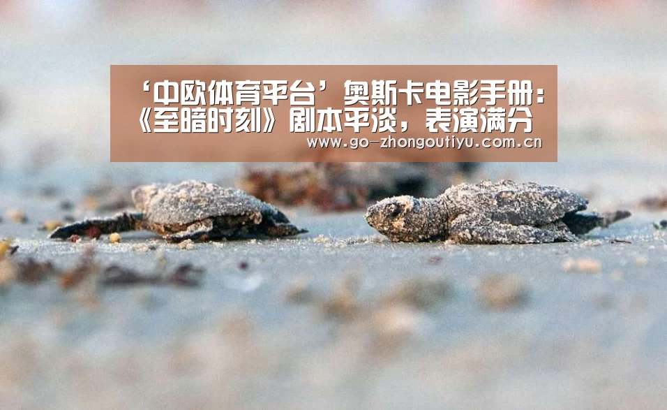 中欧体育