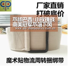 中欧体育
