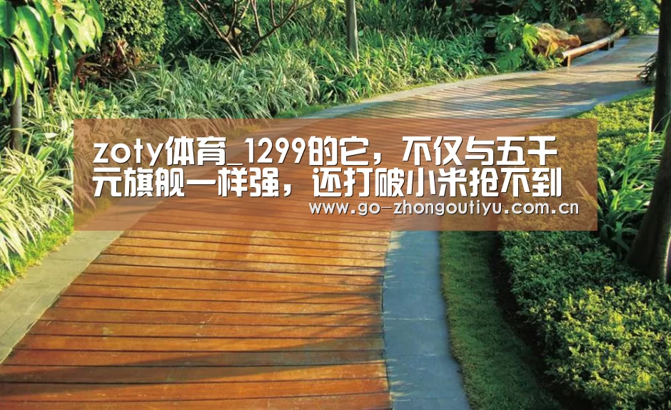 zoty体育_1299的它,不仅与五千元旗舰一样强,还打破小米抢不到神话!(图1) zoty体育