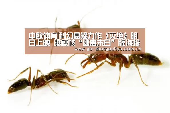 zoty体育