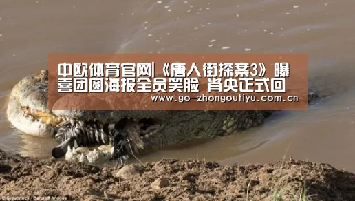 中欧体育官网|《唐人街探案3》曝喜团圆海报全员笑脸 肖央正式回归(图1) 中欧体育