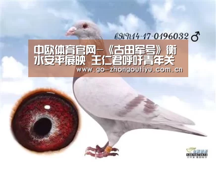 中欧体育平台