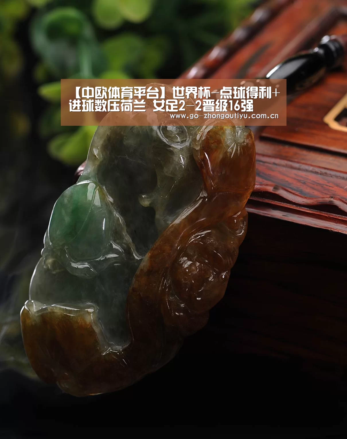 中欧体育平台